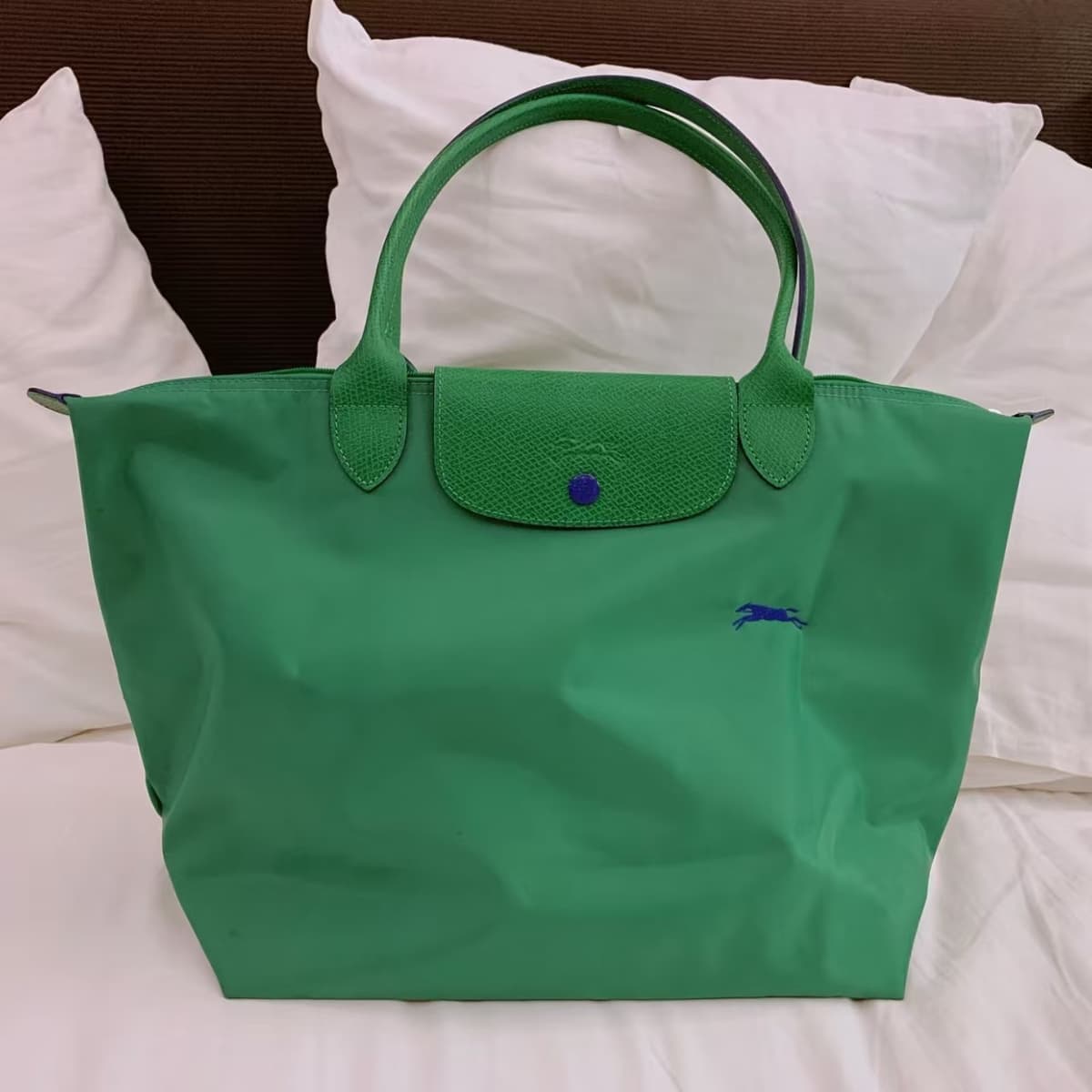 Anniversary cactus green