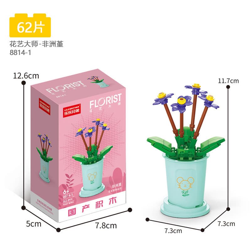 8814-1 african pansy 62pcs 60g