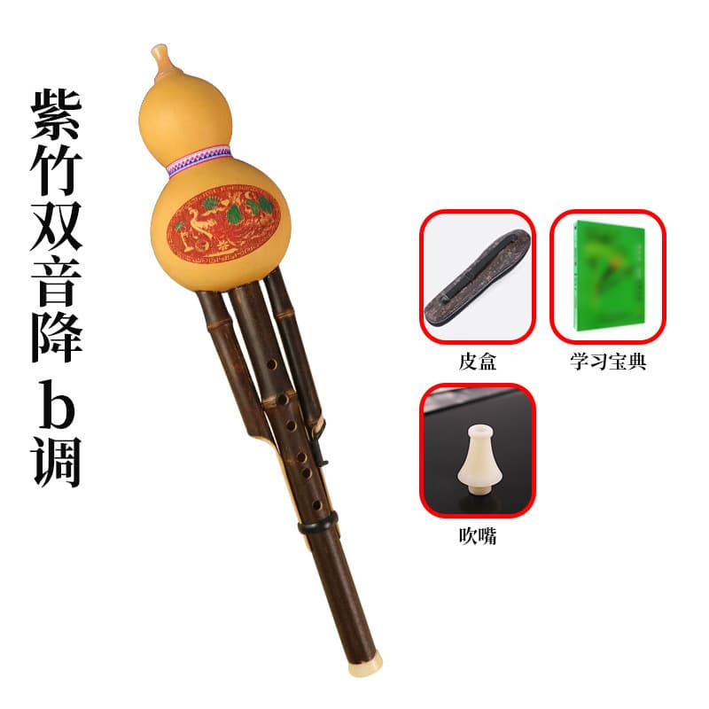 Purple bamboo double tone b+box+learning book+mouthpiece