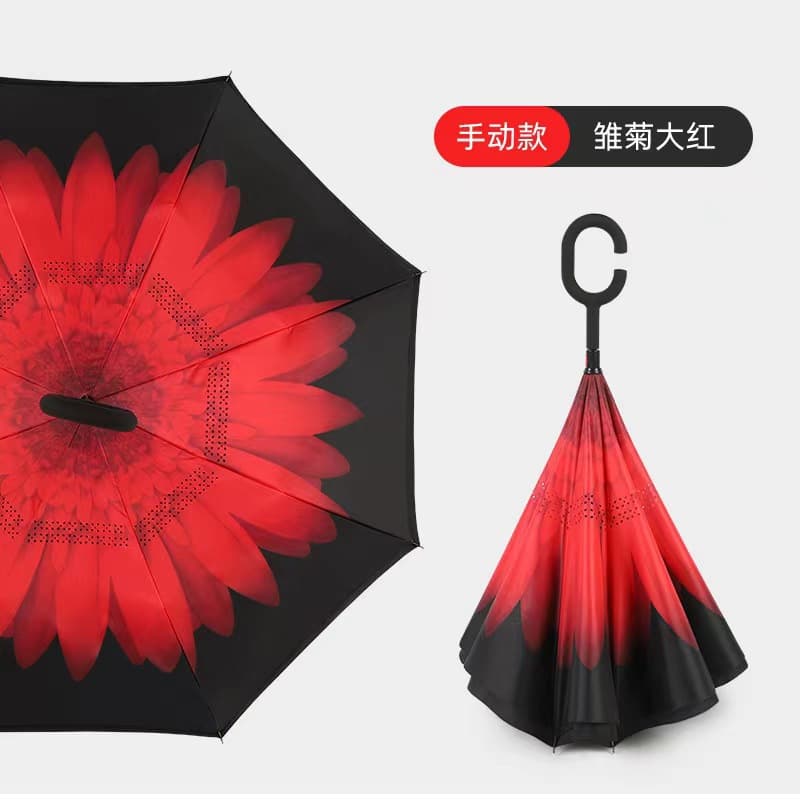 Chrysanthemum red-hand open
