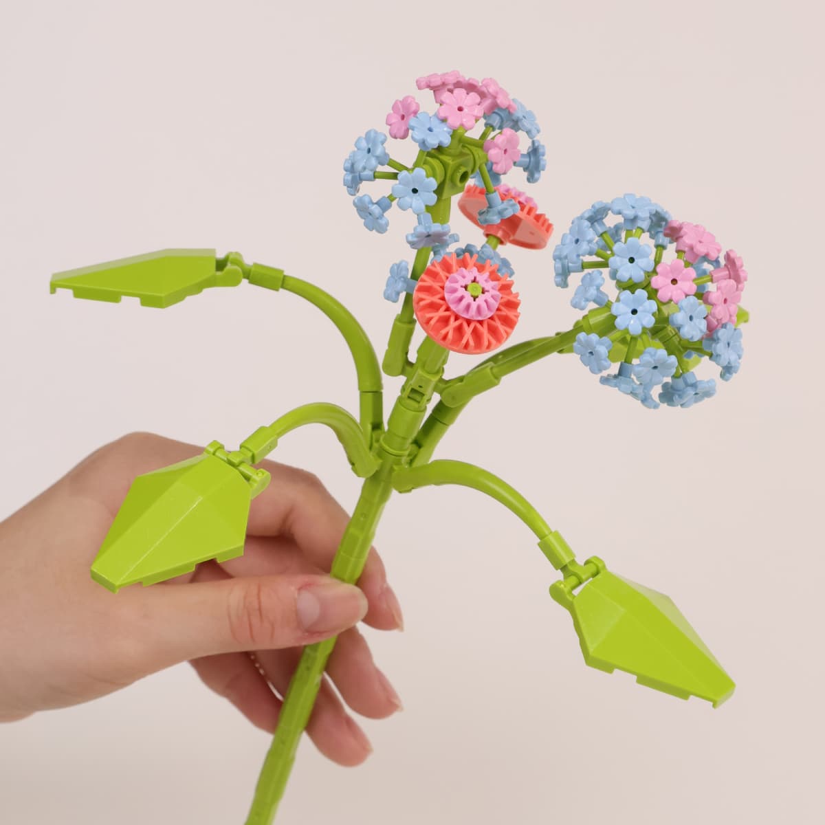 Lantana