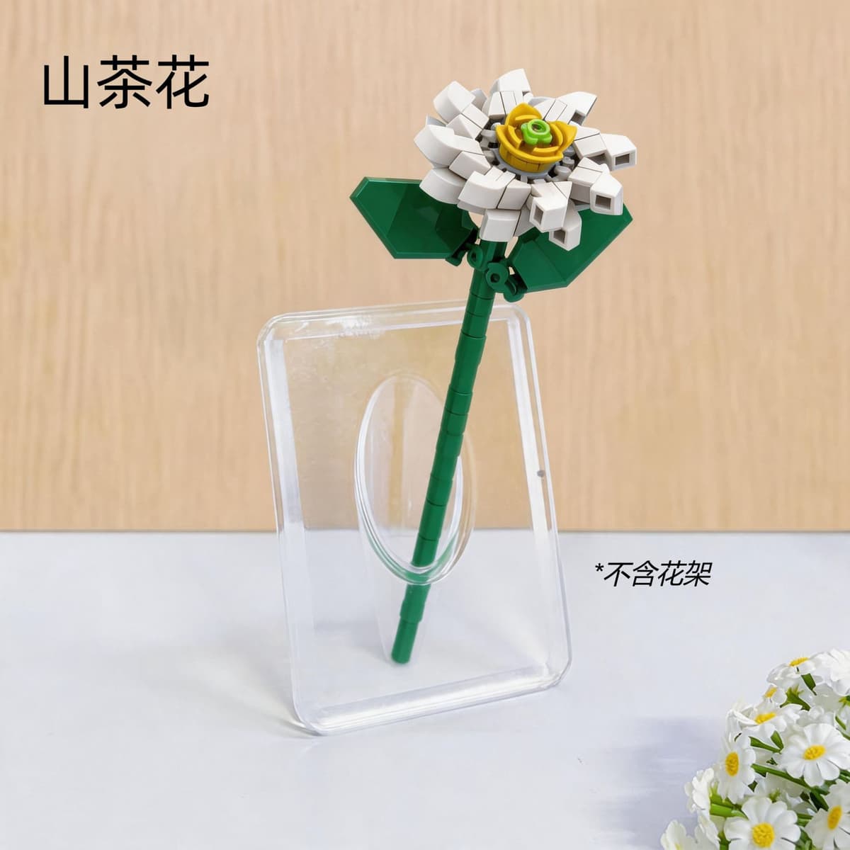 Qq004 camellia