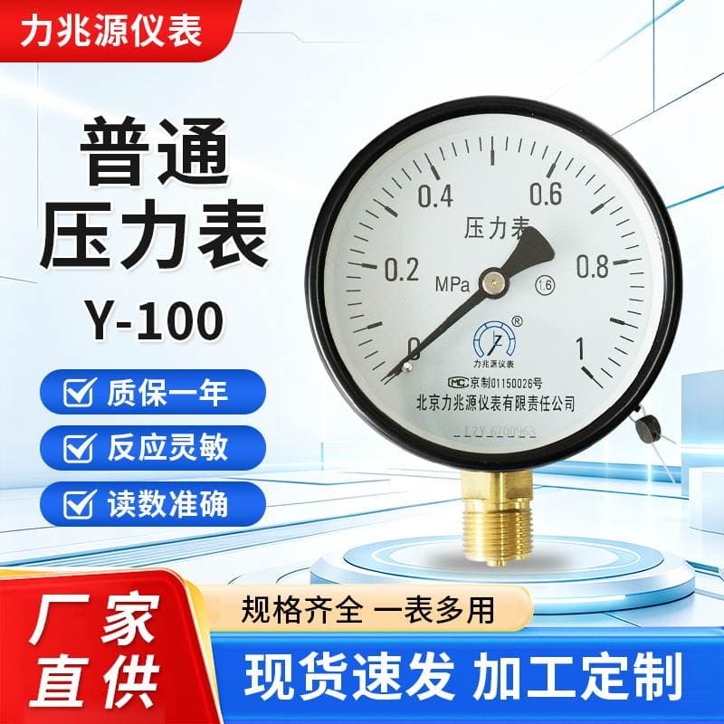 Stainless Steel Pressure Gauge Y-100 for Water Pressure, Air Pressure, Boiler, Water Pump, Chemical Pipeline, and Stainless Steel Vacuum Pressure Gauge 1