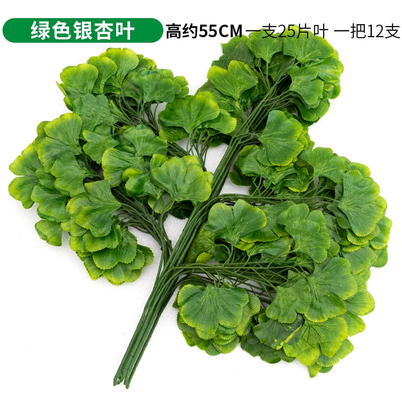 Single branch of green ginkgo biloba
