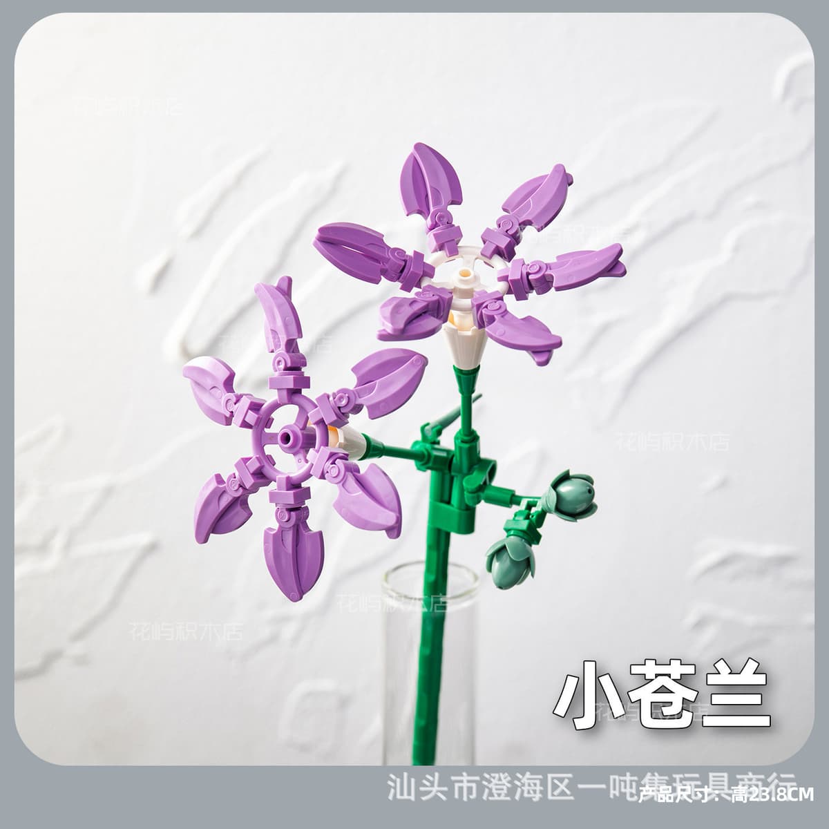 Freesia