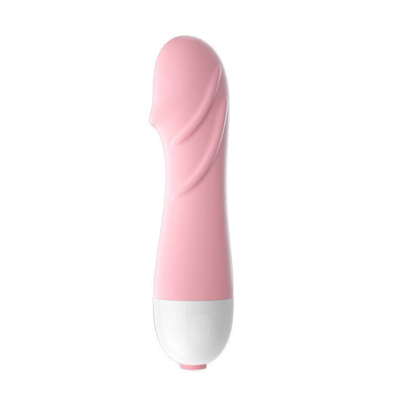 Laile Little Turtle Mini Vibrator Qadınlar üçün 4