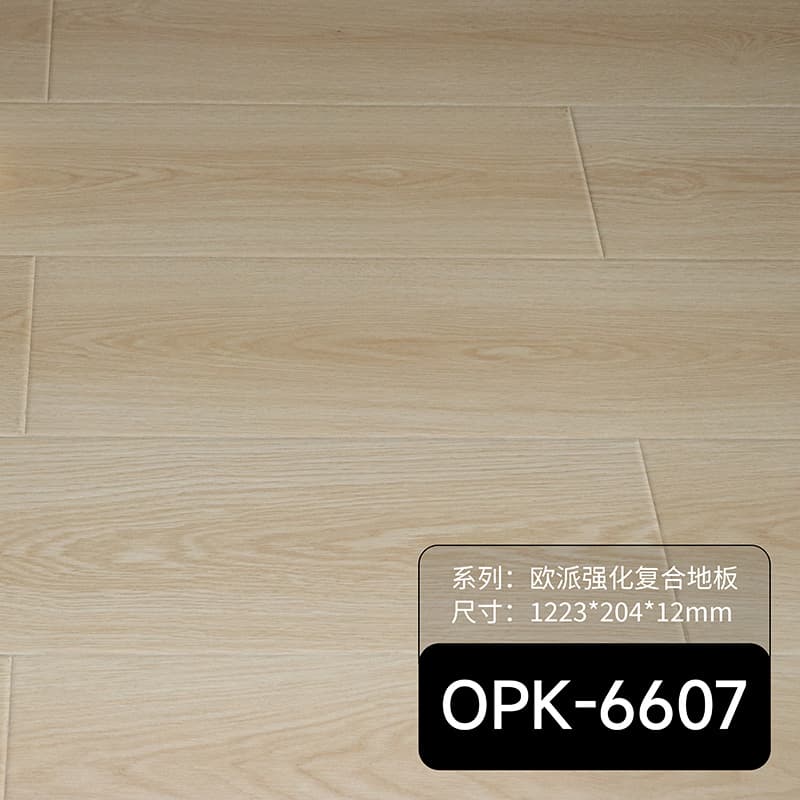 OPK-6607