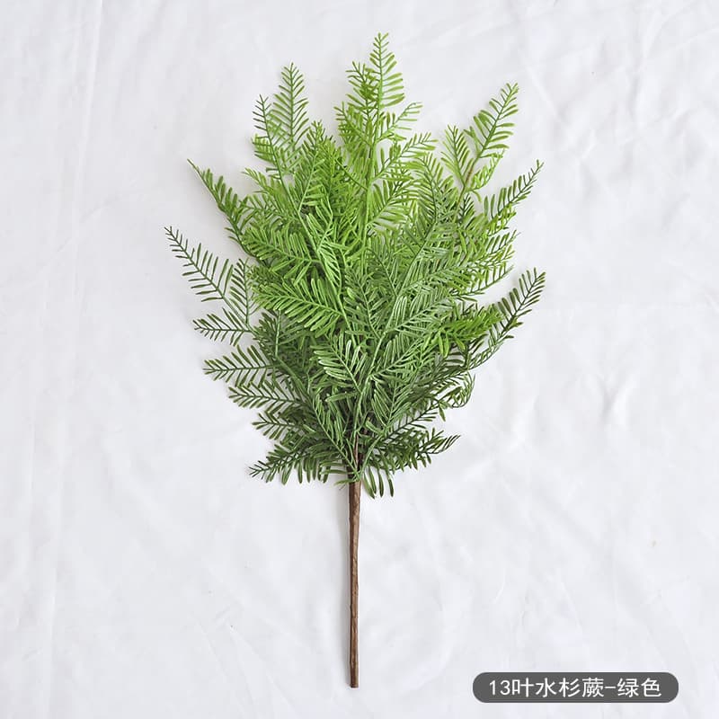 13-leaf metasequoia fern