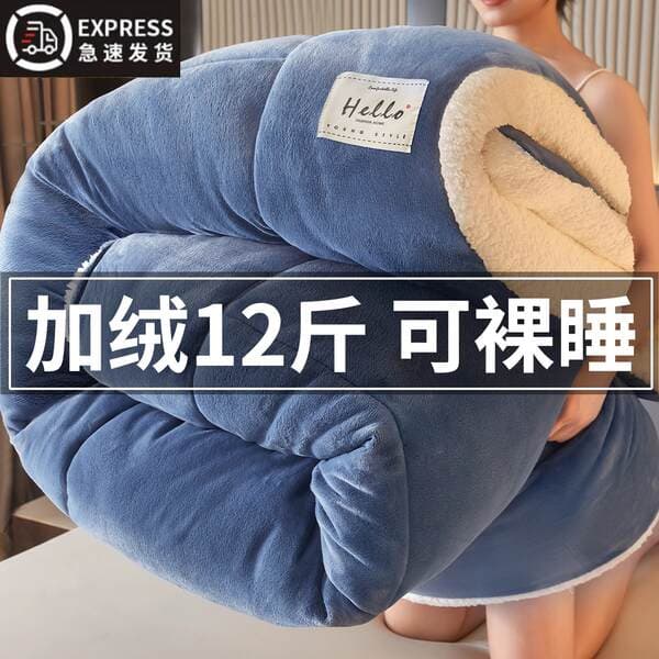 Lamb Wool Quilt Winter Quilt Cotton Quilt Core Thickened Warm Winter Dormitory Single or Double Student Winter Pad Quilt Bedding