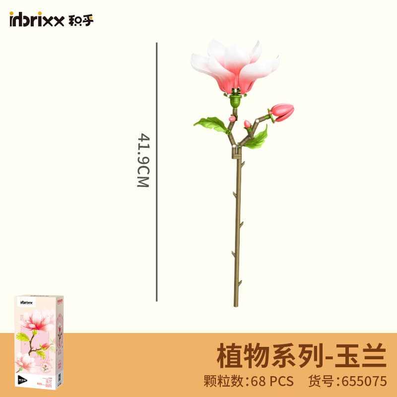 655075 magnolia