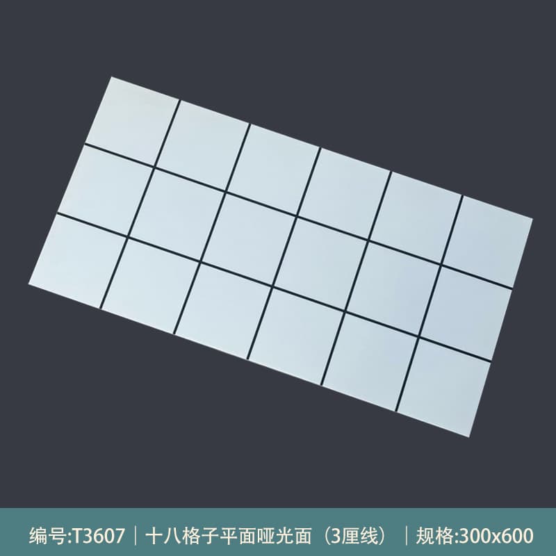 T3607 [matte Style]]