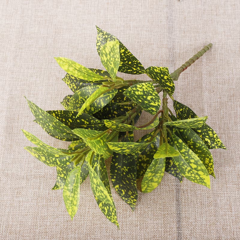 35 Leaf Wine Ficus [Yellow Green]]