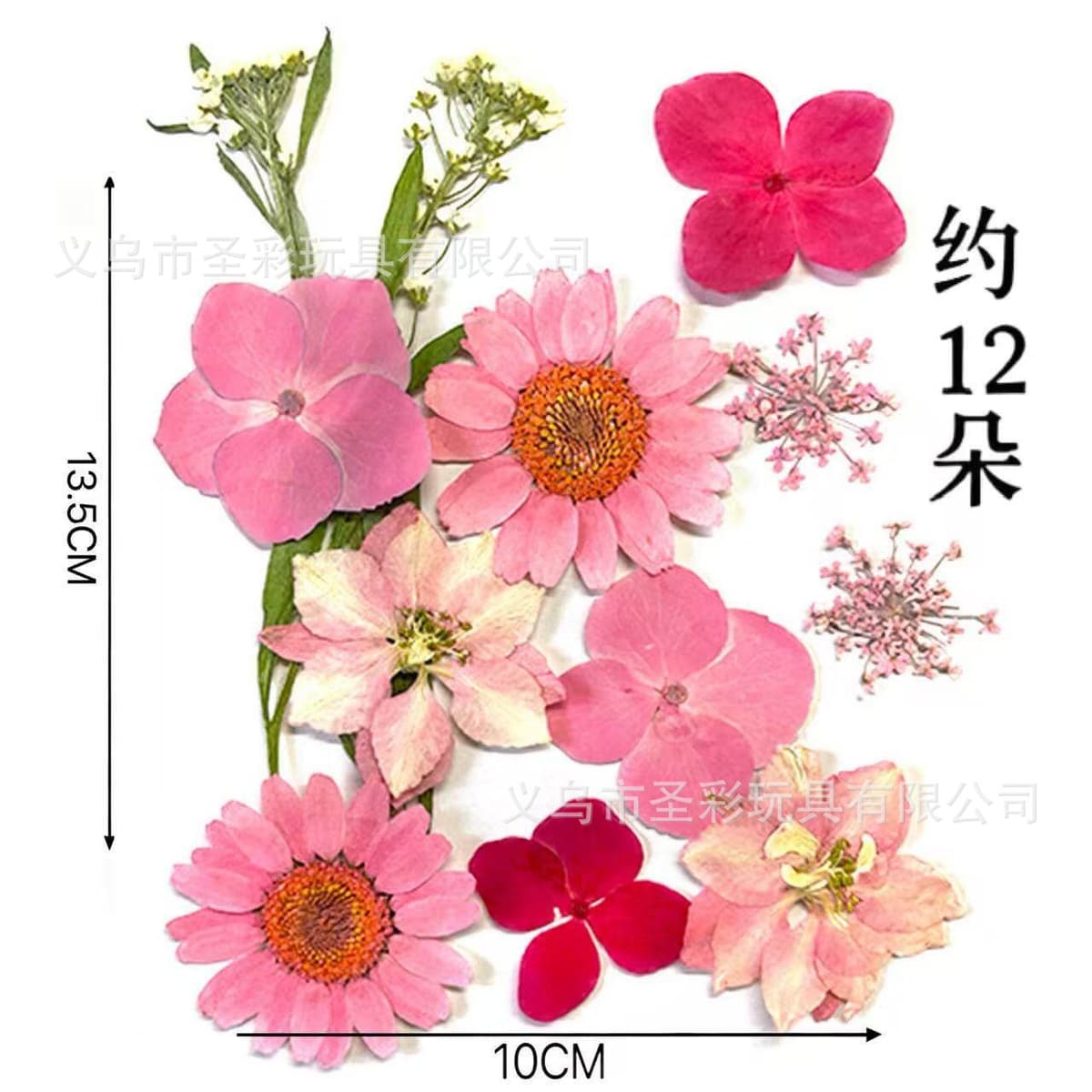Dried flower material package (pink)