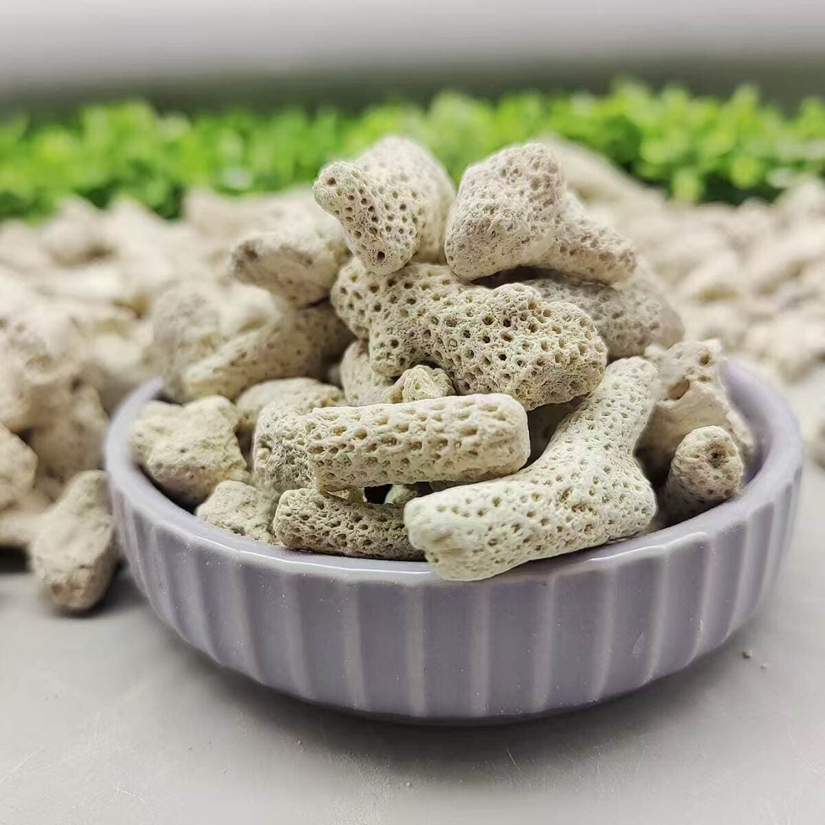 Source Supply of Spot Coral Sand, Coral Bone, Fish Pond Aquarium Filtration Water Treatment Fish Tank Landscaping Coral Stone 4