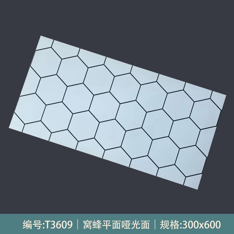 T3609 [matte Style]]