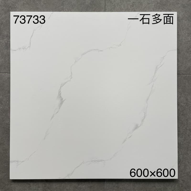 73733