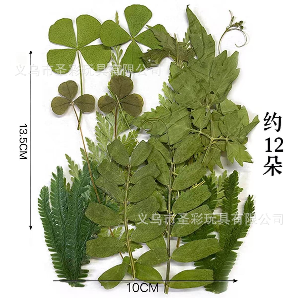 Leaf material package