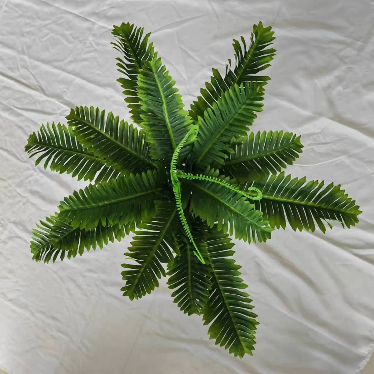 18 iron leaves (matte print)