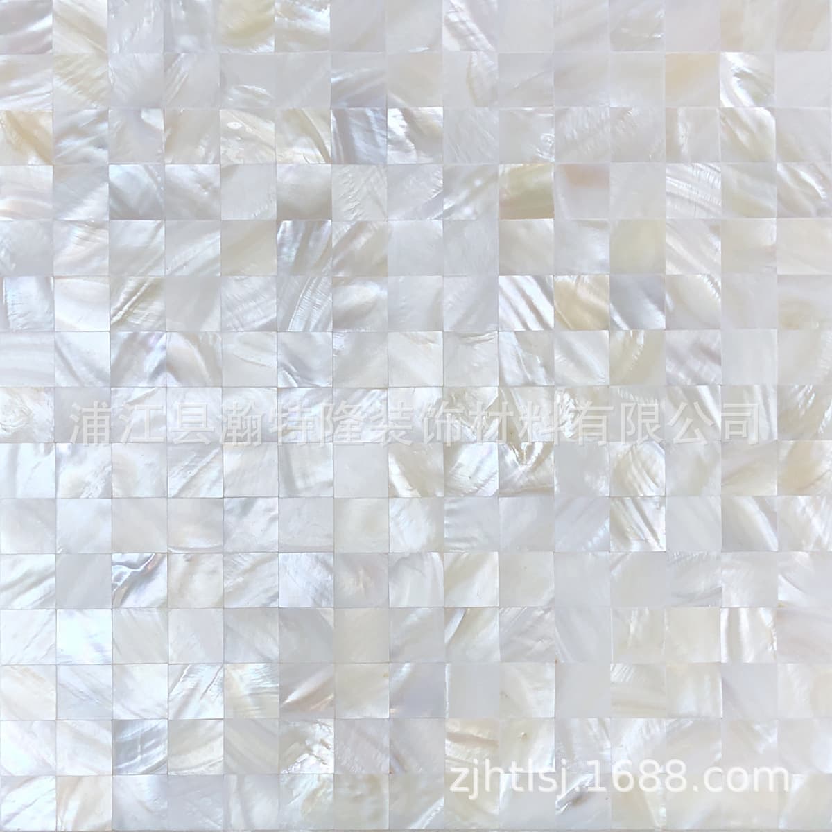 20 dense spelt ivory white
