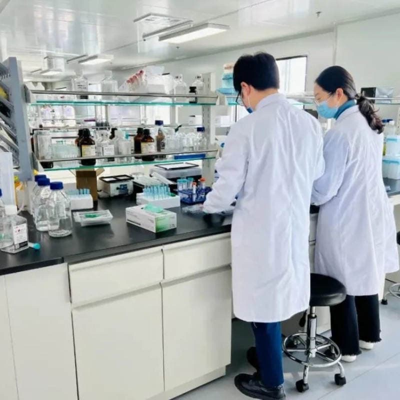 1,3-Bis[3-(Dimetilamino)Propil]Sidik Cövhəri (Sənaye Dərəcəli) 4