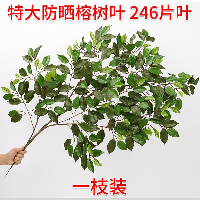 Extra large sun protection Banyan 1 branch