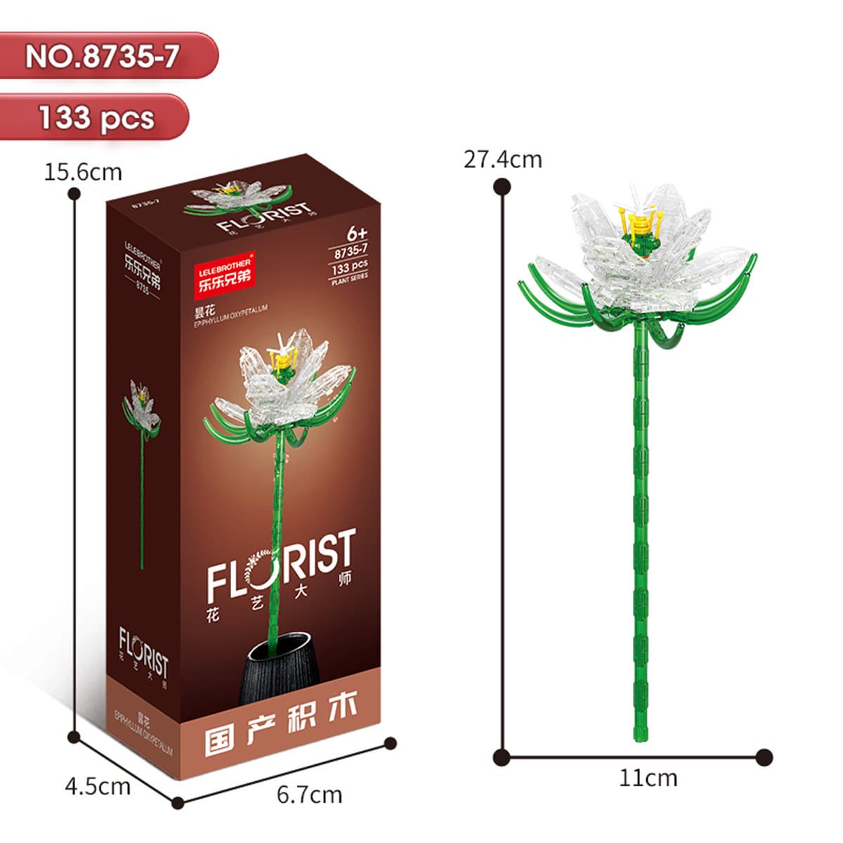 8735-7 Epiphyllum 133pcs