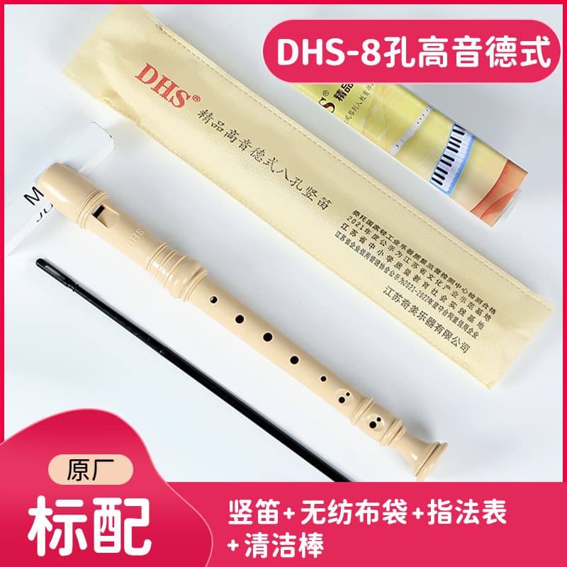 Dhs eight-hole recorder