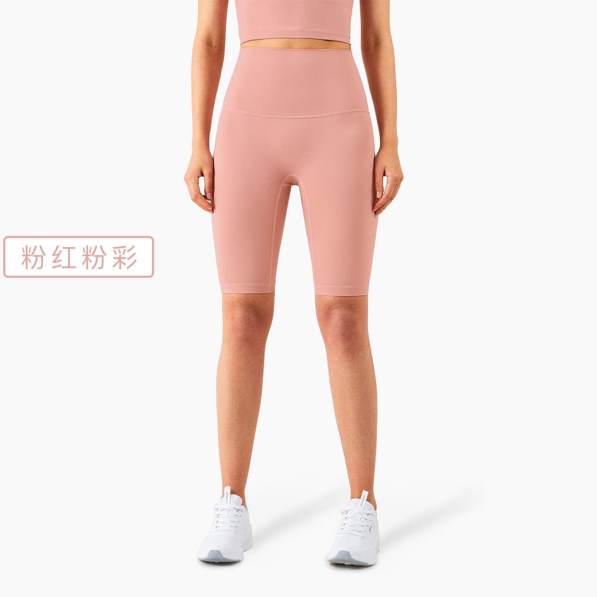 Pink pastel (1260 promotion)
