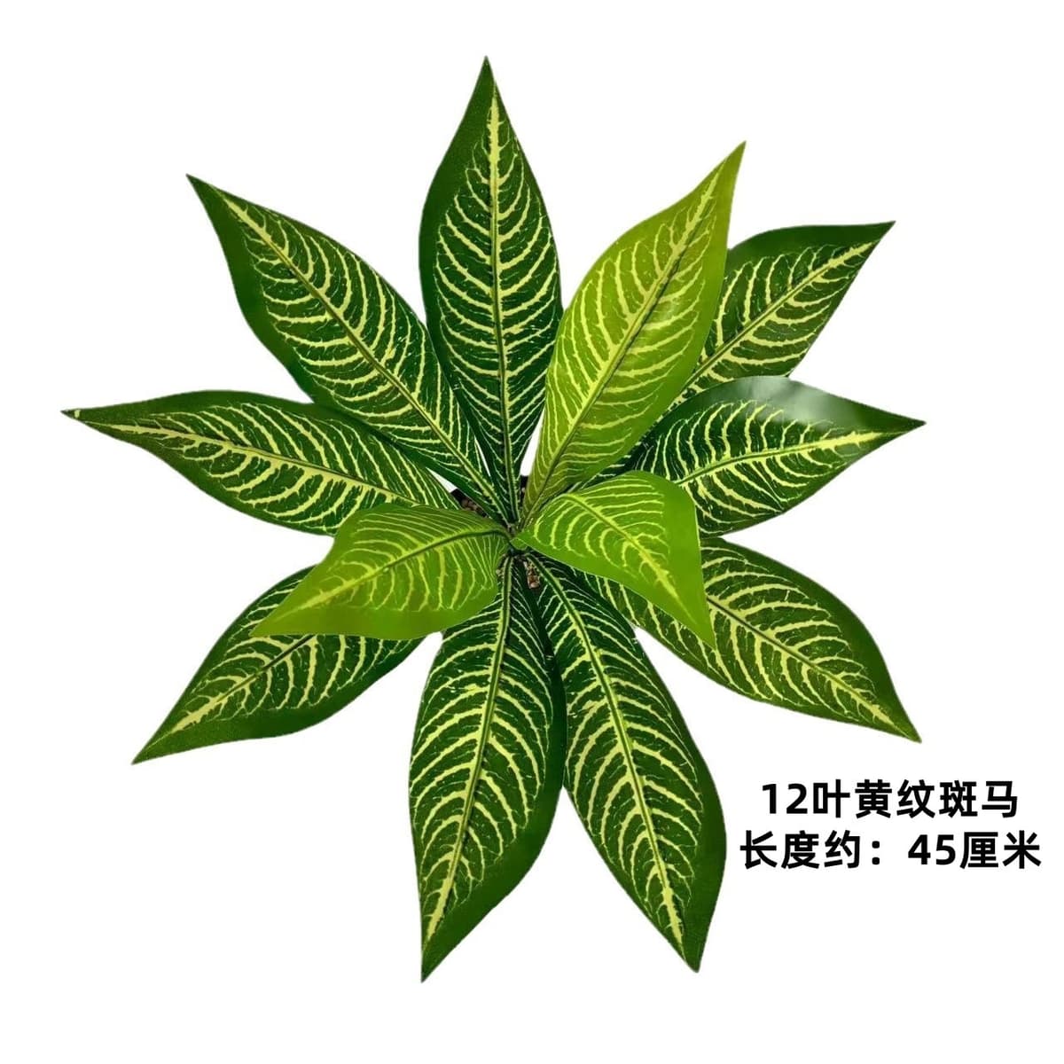 12-leaf yellow pattern zebra