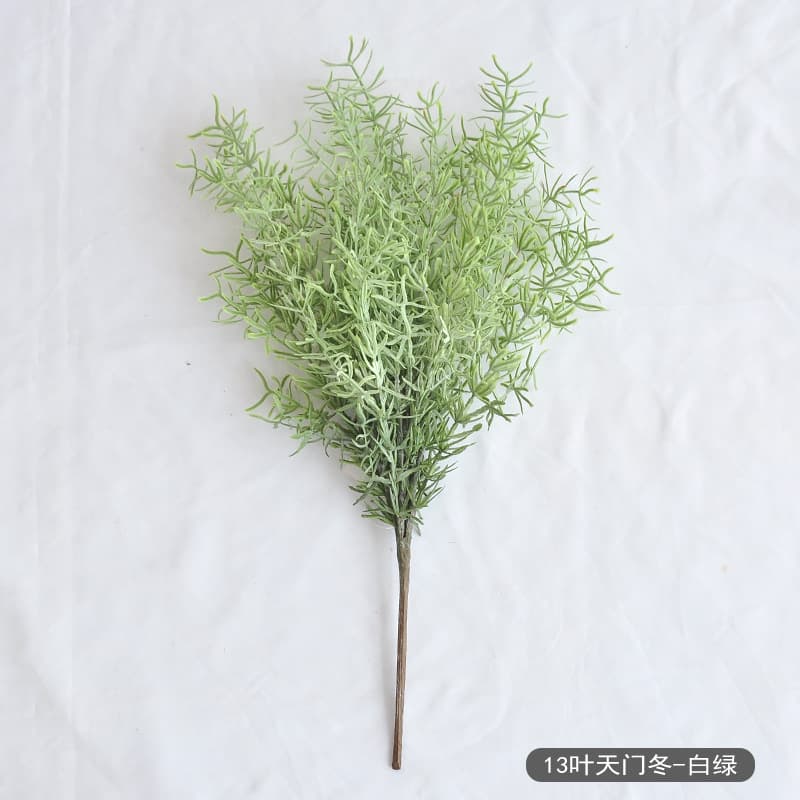 Asparagus-white and green