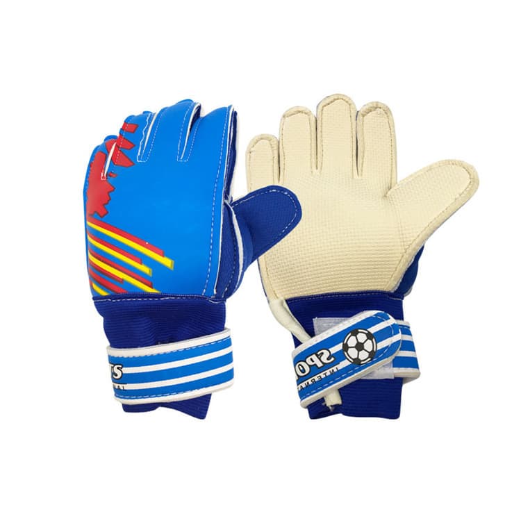 Zl611-blue