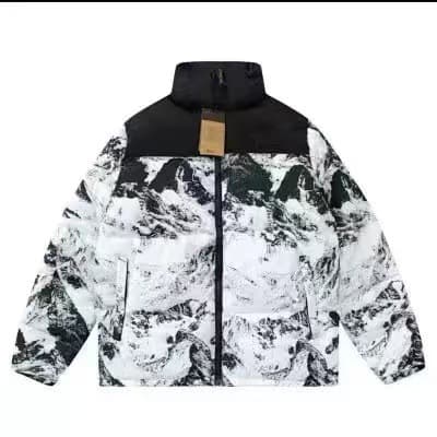 Snow mountain iv