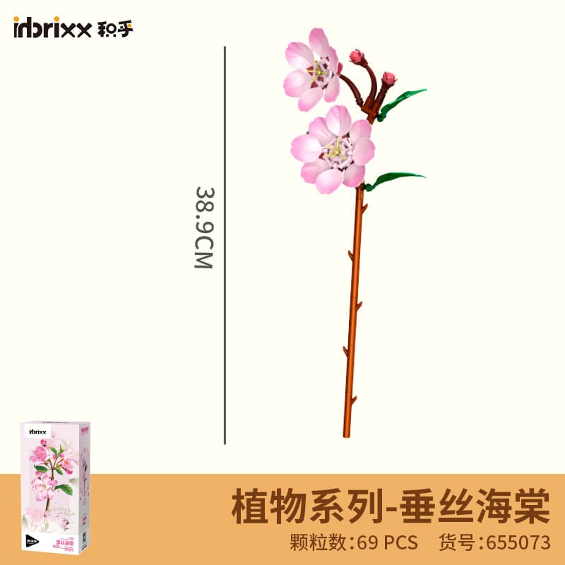 655073 begonia 69pcs-80g