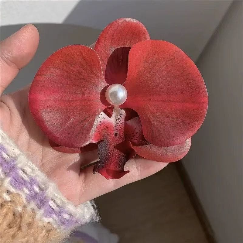 5081 phalaenopsis-big red