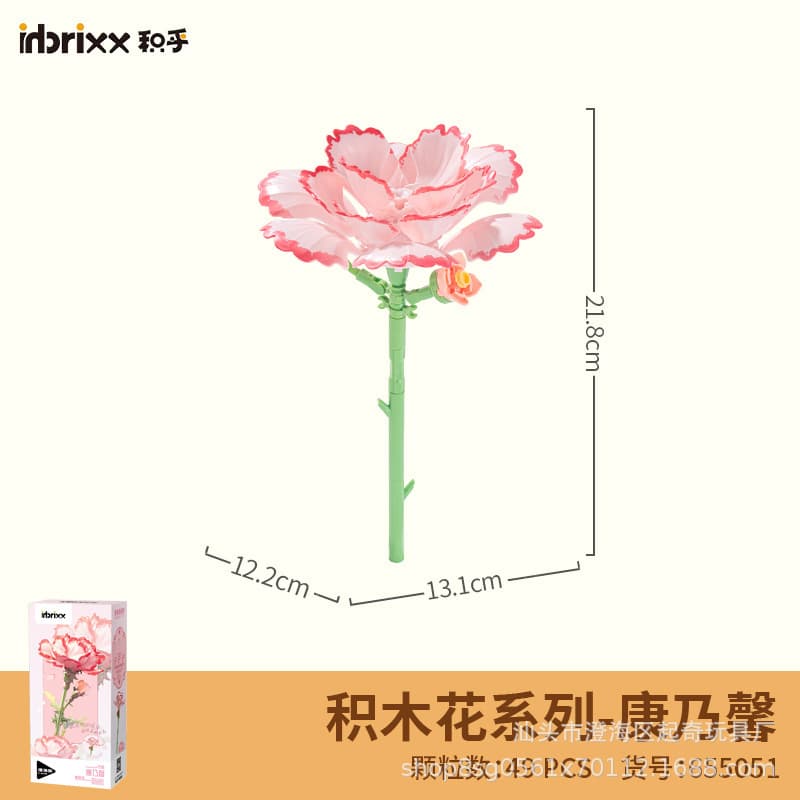 655051-carnation