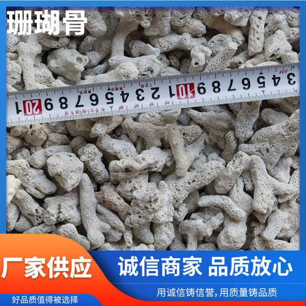 Manufacturer Wholesale of Coral Sand Fish Tank Landscaping Water Treatment Aquaculture Filtration Large Coral Bone Particles