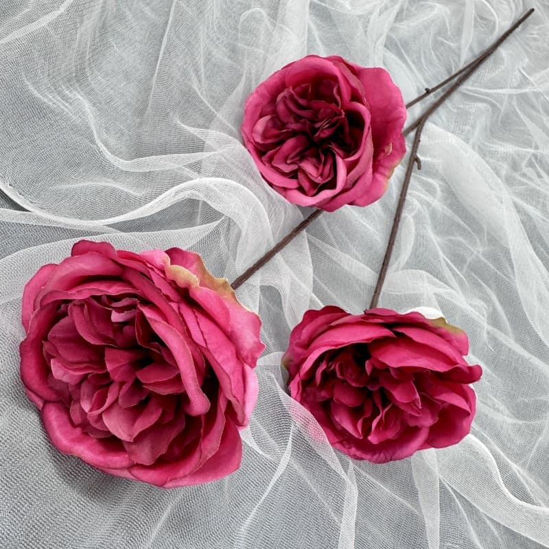 Rose red