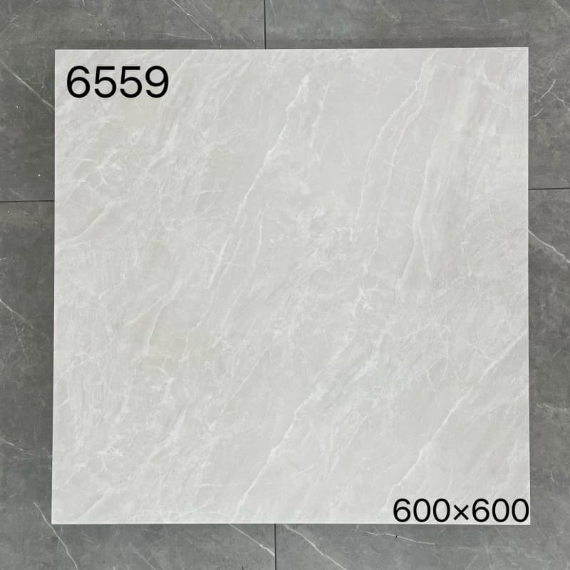 6559