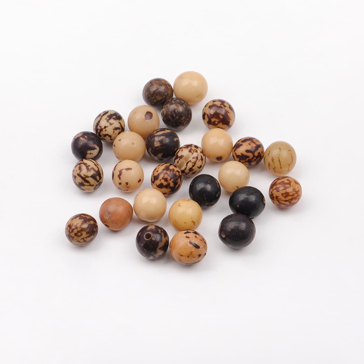 Tiger skin bodhi root/single