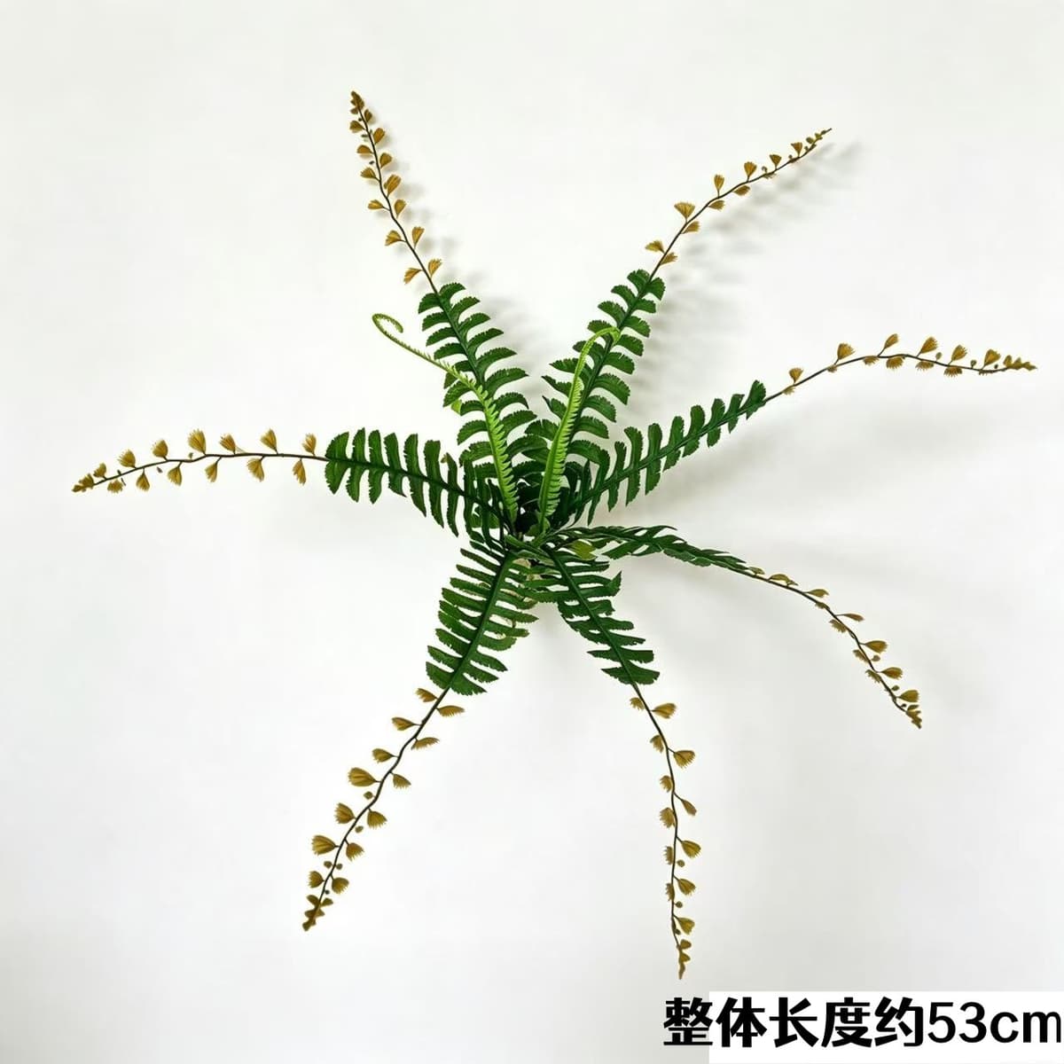 9 persian grass with whiskers (dark)