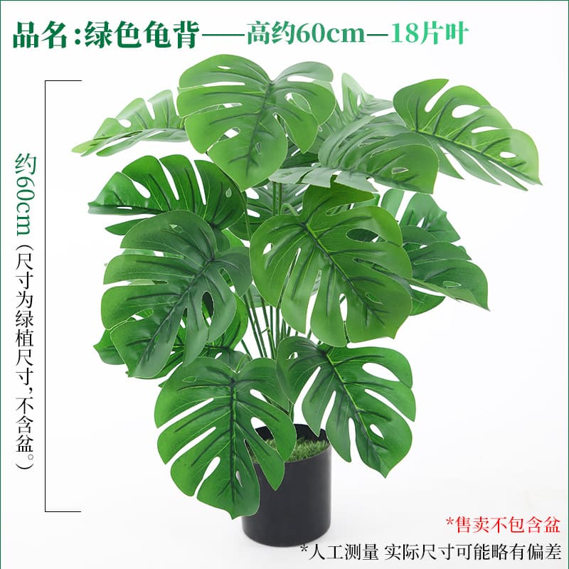 18 green turtle leaves