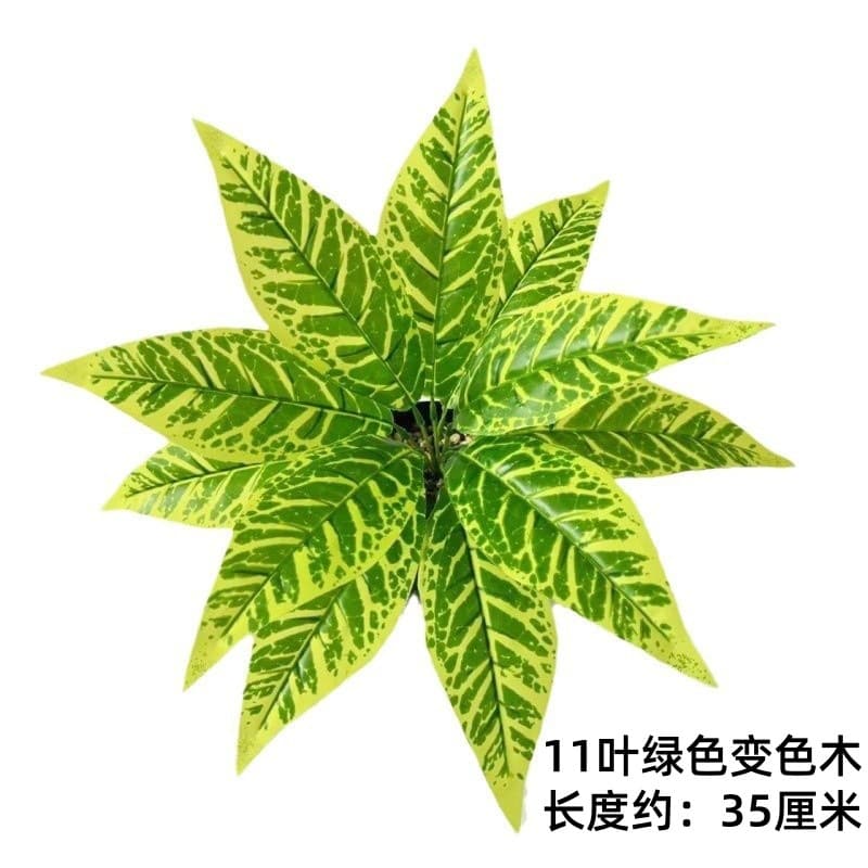 11 leaves green color changing wood