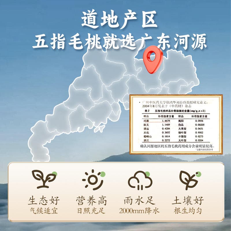 Authentic Five-Fingered Peach Root Chinese Herbal Medicine and Food of the Same Origin Guangdong Soup Milk Flavor Special Wholesale Five-Fingered Peach 2