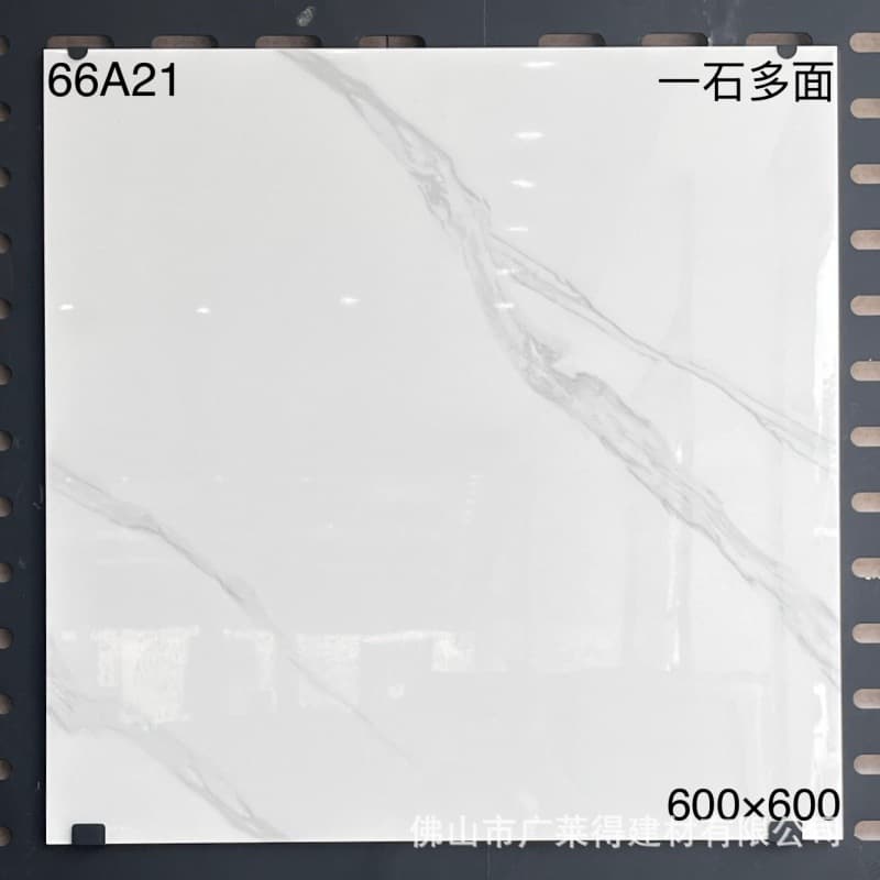 66A21