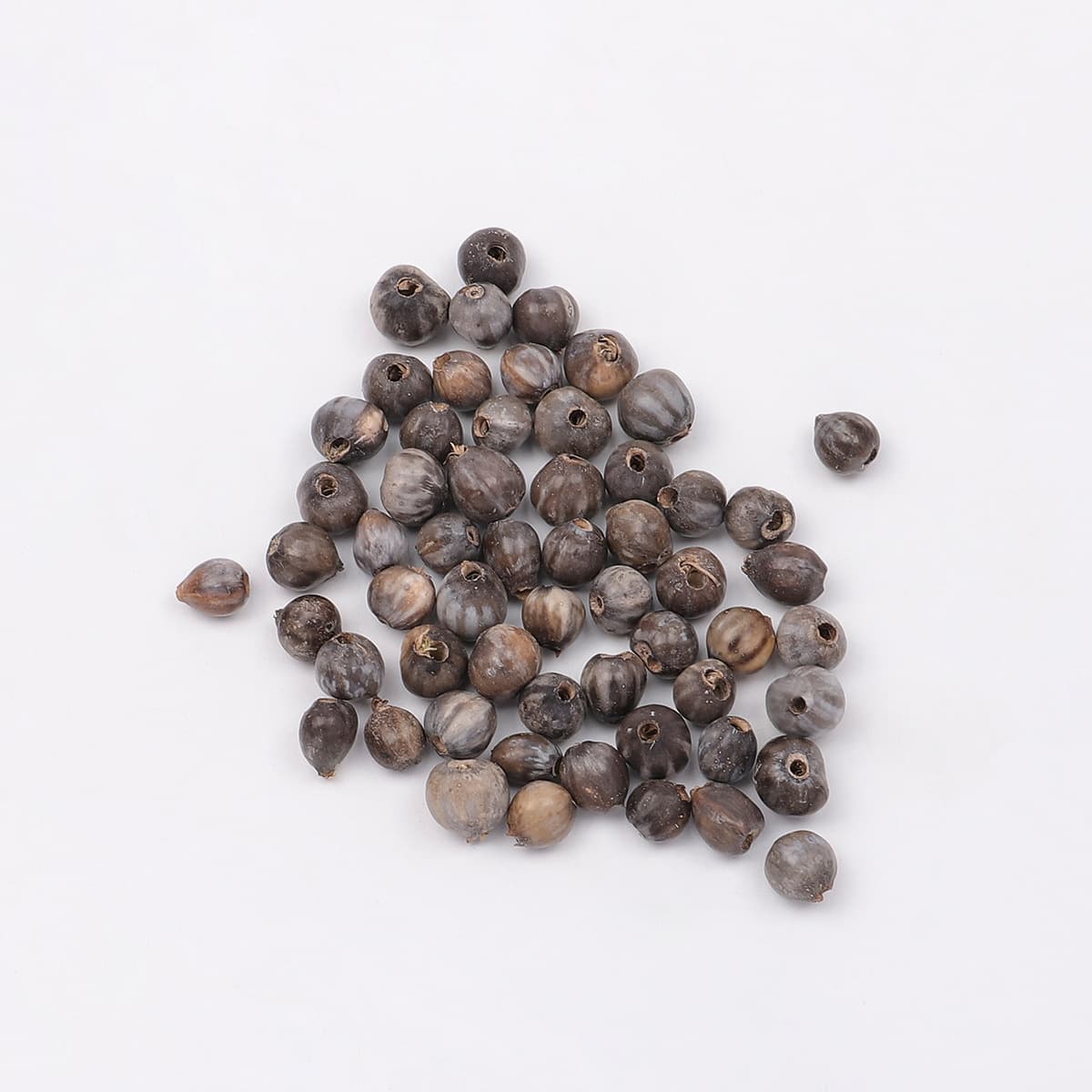 Coix seed beads blue and white porcelain color/single [please be careful when photographing if there are any flaws]