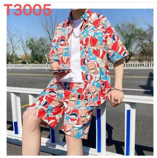 T3005