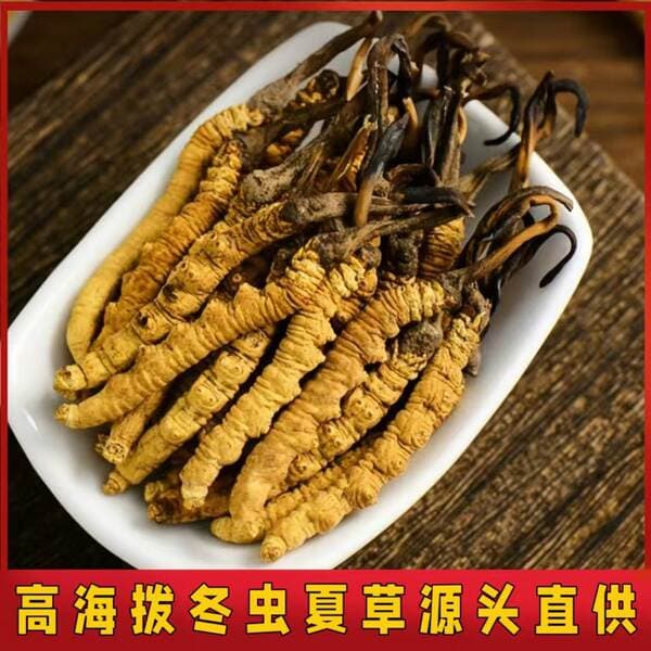 Cordyceps Cordyceps Xizang Cordyceps gift box 30 Cordyceps dry enough dry without broken grass Cordyceps traditional tonic