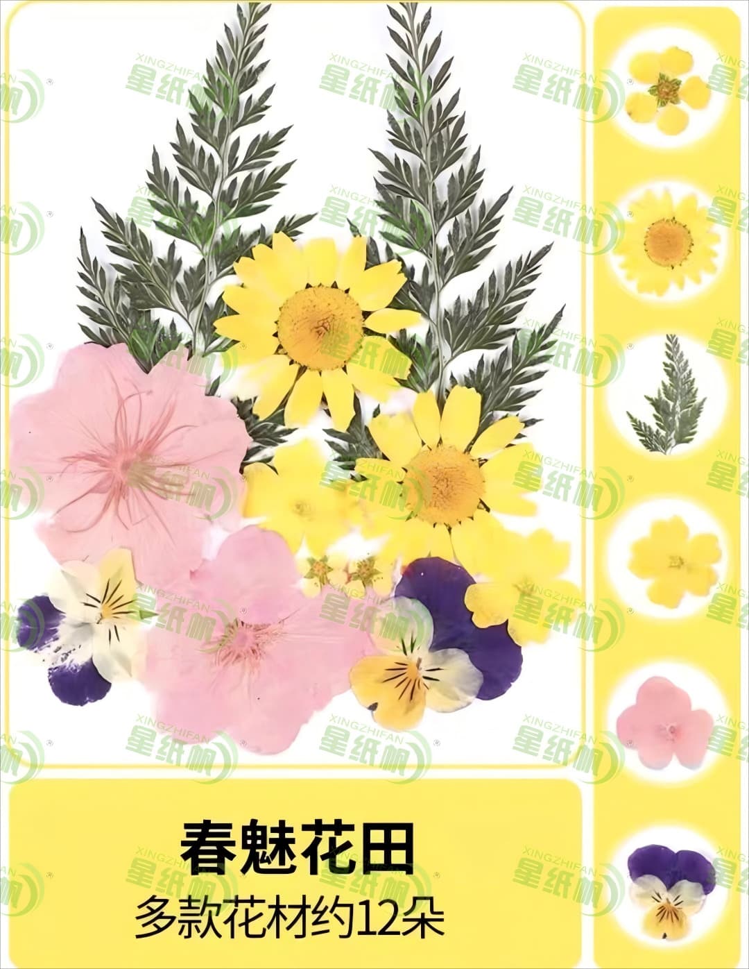 Dried flowers