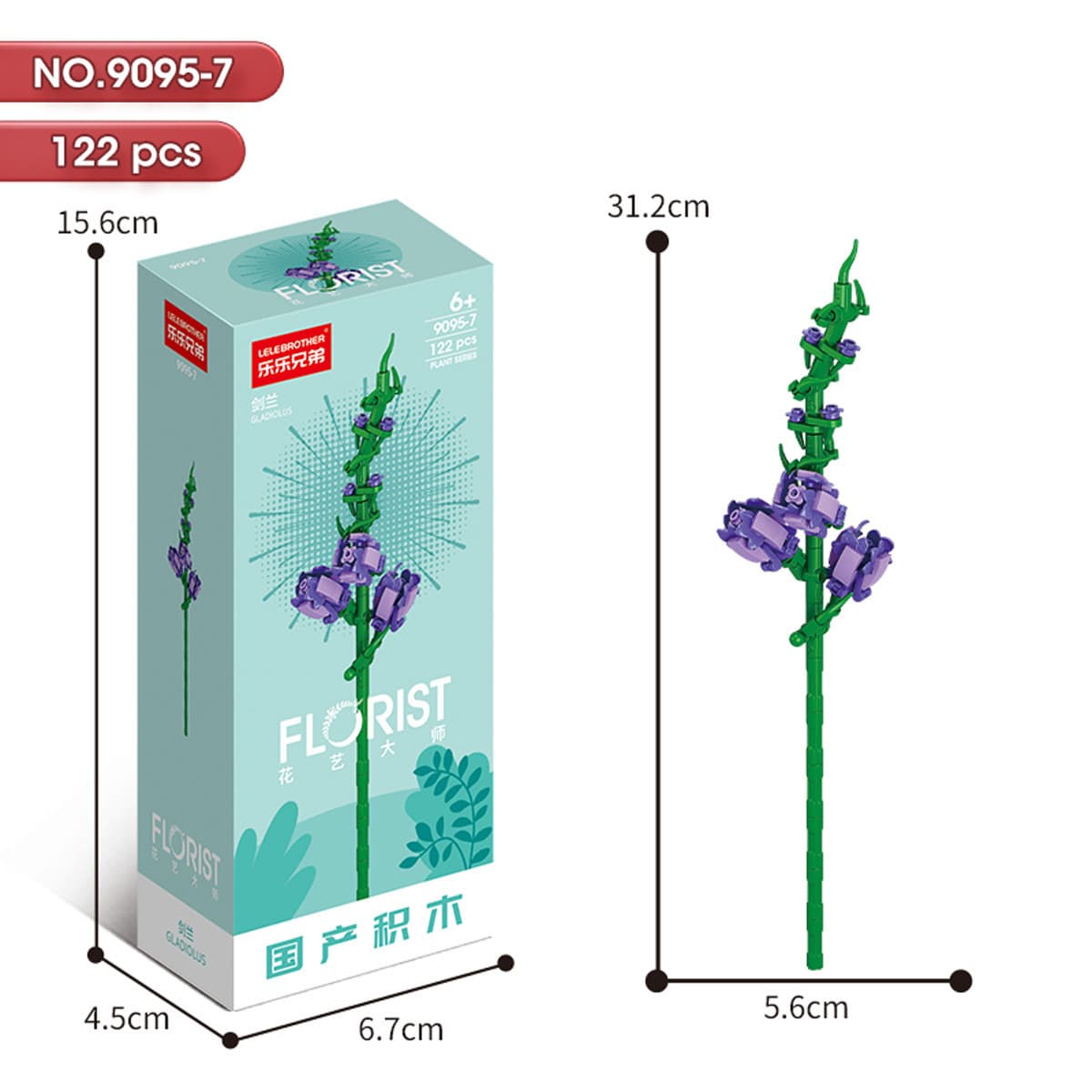 9095-7 gladioli 122PCS