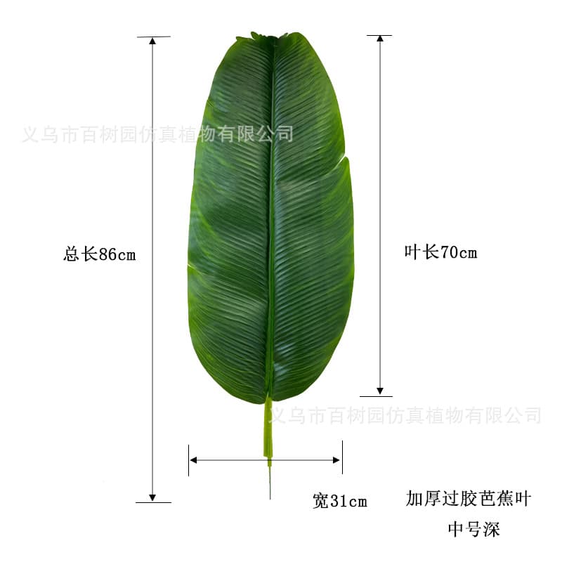 Medium dark (total length 86cm, leaf length 70cm, width 31cm)